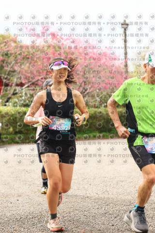 2026左岸竹東櫻花馬拉松Zhudong Sakura Marathon
