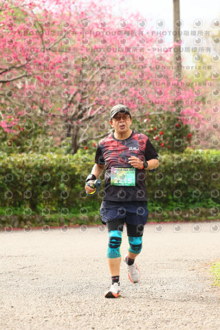 2026左岸竹東櫻花馬拉松Zhudong Sakura Marathon