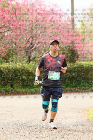 2026左岸竹東櫻花馬拉松Zhudong Sakura Marathon