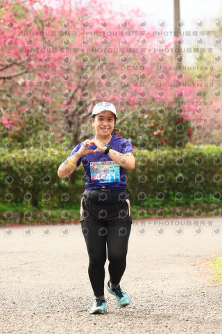 2026左岸竹東櫻花馬拉松Zhudong Sakura Marathon