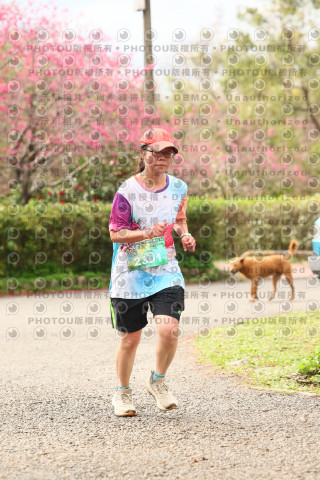 2026左岸竹東櫻花馬拉松Zhudong Sakura Marathon
