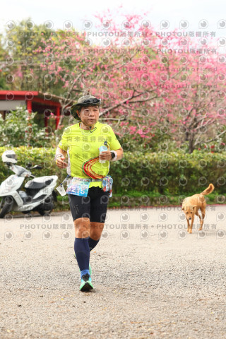 2026左岸竹東櫻花馬拉松Zhudong Sakura Marathon