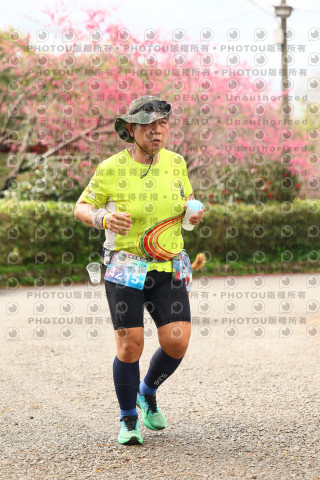 2026左岸竹東櫻花馬拉松Zhudong Sakura Marathon