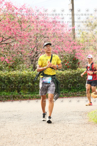 2026左岸竹東櫻花馬拉松Zhudong Sakura Marathon