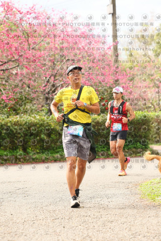 2026左岸竹東櫻花馬拉松Zhudong Sakura Marathon