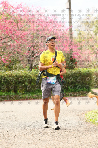 2026左岸竹東櫻花馬拉松Zhudong Sakura Marathon