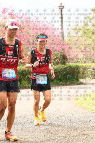 2026左岸竹東櫻花馬拉松Zhudong Sakura Marathon