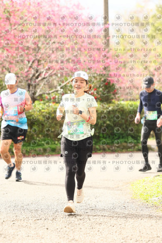 2026左岸竹東櫻花馬拉松Zhudong Sakura Marathon