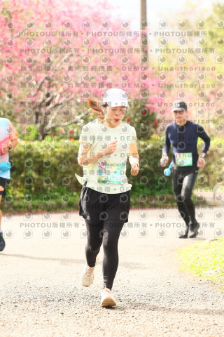 2026左岸竹東櫻花馬拉松Zhudong Sakura Marathon