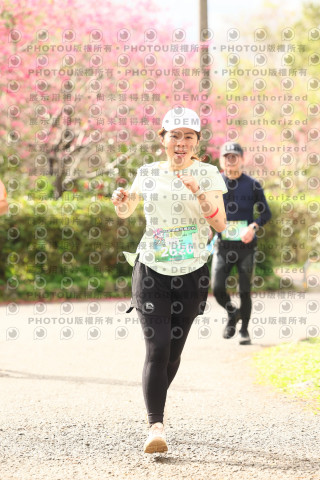 2026左岸竹東櫻花馬拉松Zhudong Sakura Marathon