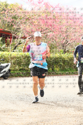 2026左岸竹東櫻花馬拉松Zhudong Sakura Marathon