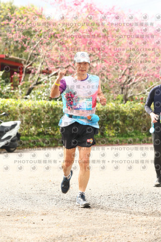 2026左岸竹東櫻花馬拉松Zhudong Sakura Marathon