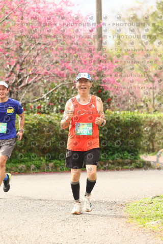 2026左岸竹東櫻花馬拉松Zhudong Sakura Marathon