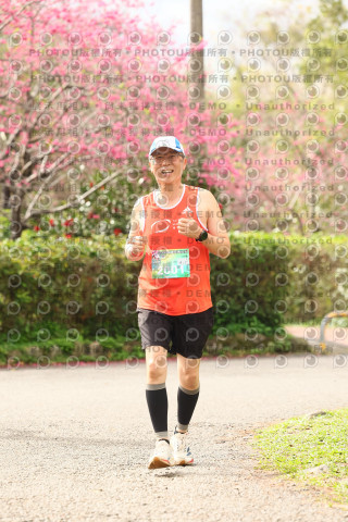 2026左岸竹東櫻花馬拉松Zhudong Sakura Marathon