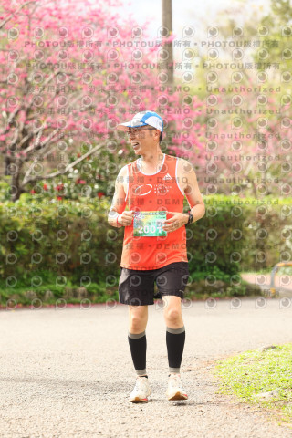 2026左岸竹東櫻花馬拉松Zhudong Sakura Marathon