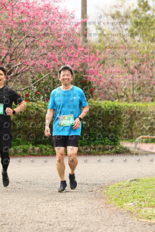 2026左岸竹東櫻花馬拉松Zhudong Sakura Marathon