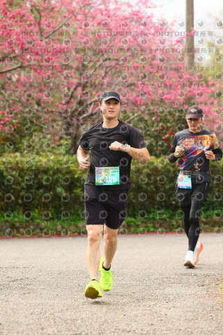 2026左岸竹東櫻花馬拉松Zhudong Sakura Marathon