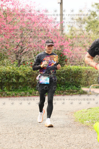 2026左岸竹東櫻花馬拉松Zhudong Sakura Marathon