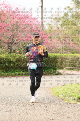 2026左岸竹東櫻花馬拉松Zhudong Sakura Marathon
