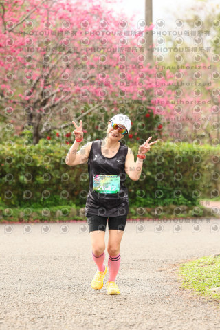 2026左岸竹東櫻花馬拉松Zhudong Sakura Marathon