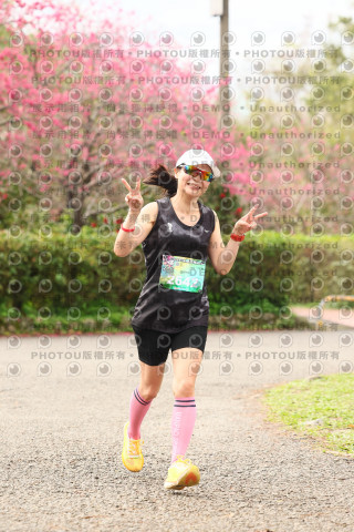 2026左岸竹東櫻花馬拉松Zhudong Sakura Marathon