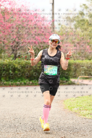 2026左岸竹東櫻花馬拉松Zhudong Sakura Marathon