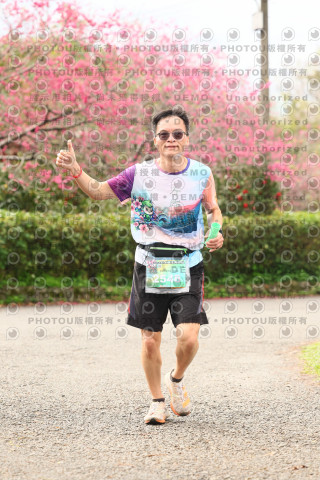 2026左岸竹東櫻花馬拉松Zhudong Sakura Marathon