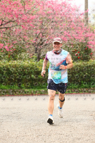 2026左岸竹東櫻花馬拉松Zhudong Sakura Marathon