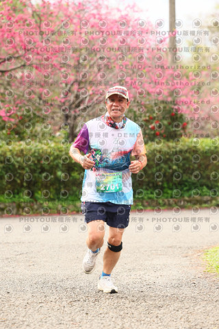 2026左岸竹東櫻花馬拉松Zhudong Sakura Marathon