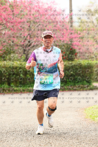 2026左岸竹東櫻花馬拉松Zhudong Sakura Marathon