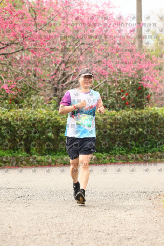 2026左岸竹東櫻花馬拉松Zhudong Sakura Marathon