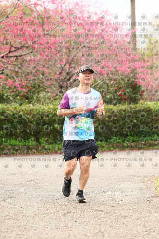 2026左岸竹東櫻花馬拉松Zhudong Sakura Marathon