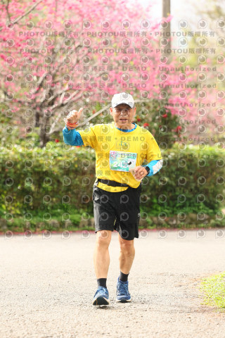 2026左岸竹東櫻花馬拉松Zhudong Sakura Marathon
