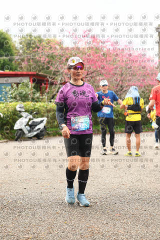 2026左岸竹東櫻花馬拉松Zhudong Sakura Marathon