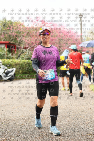 2026左岸竹東櫻花馬拉松Zhudong Sakura Marathon