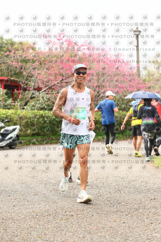 2026左岸竹東櫻花馬拉松Zhudong Sakura Marathon