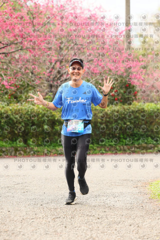 2026左岸竹東櫻花馬拉松Zhudong Sakura Marathon