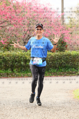 2026左岸竹東櫻花馬拉松Zhudong Sakura Marathon