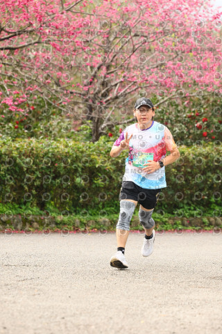 2026左岸竹東櫻花馬拉松Zhudong Sakura Marathon