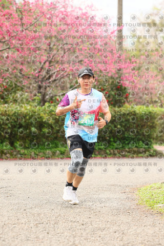 2026左岸竹東櫻花馬拉松Zhudong Sakura Marathon