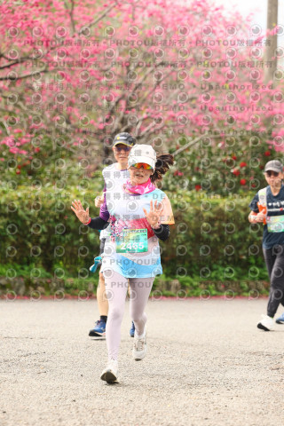 2026左岸竹東櫻花馬拉松Zhudong Sakura Marathon