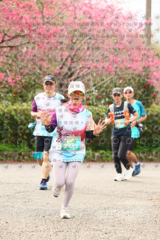 2026左岸竹東櫻花馬拉松Zhudong Sakura Marathon
