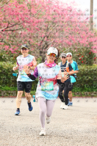 2026左岸竹東櫻花馬拉松Zhudong Sakura Marathon
