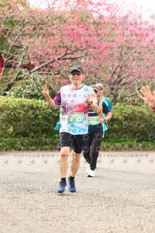 2026左岸竹東櫻花馬拉松Zhudong Sakura Marathon