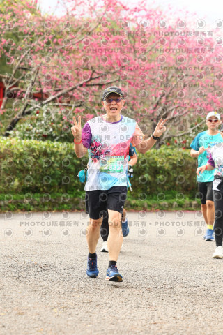 2026左岸竹東櫻花馬拉松Zhudong Sakura Marathon
