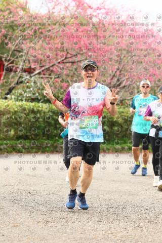 2026左岸竹東櫻花馬拉松Zhudong Sakura Marathon