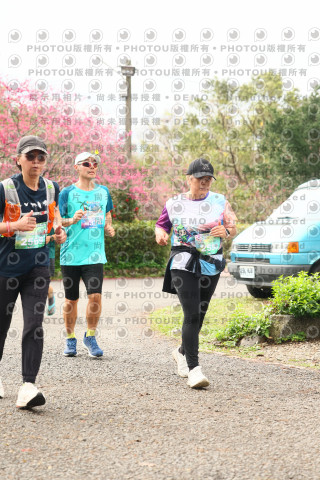 2026左岸竹東櫻花馬拉松Zhudong Sakura Marathon