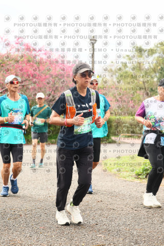 2026左岸竹東櫻花馬拉松Zhudong Sakura Marathon