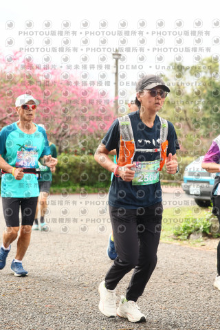 2026左岸竹東櫻花馬拉松Zhudong Sakura Marathon