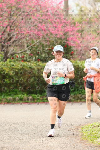2026左岸竹東櫻花馬拉松Zhudong Sakura Marathon